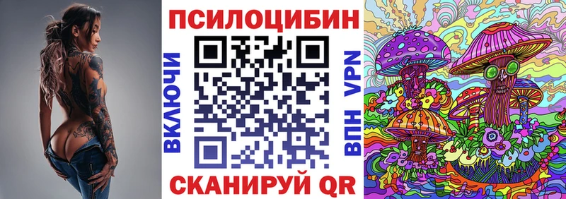 Купить закладки  Вязники  Псилоцибиновые грибы Cubensis 
